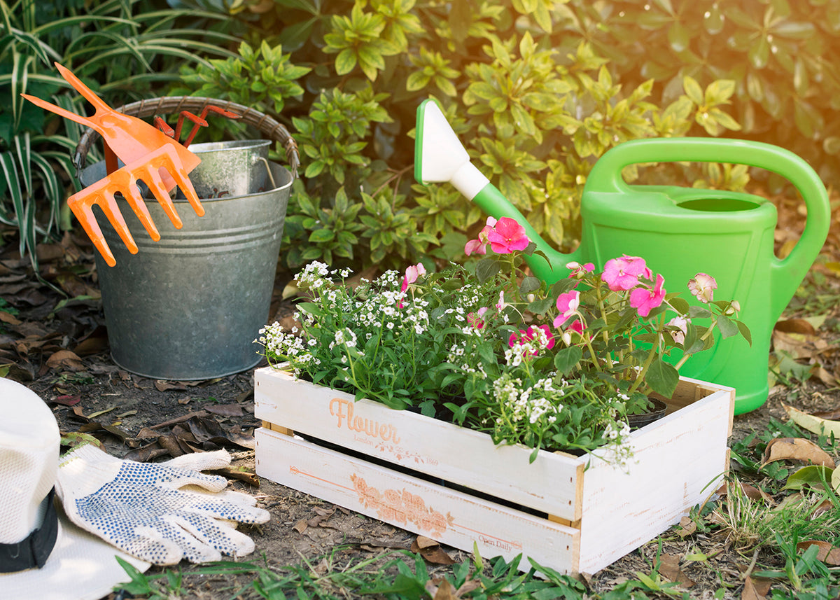 Jardinería