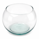 Pecera de Cristal