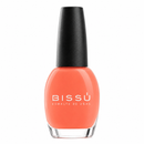 Esmalte mini 5 ml.
