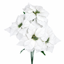 Flor Nochebuena Blanca XM-33964