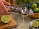 Exprimidor De Limon Pulido C/Argolla