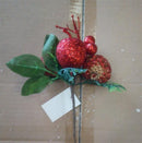 PICK MANZANA-DTMZ-10