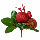 Pick Manzana-Dtmz-10
