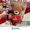 BOLSA DE REGALO GRANDE SAN VALENTIN
