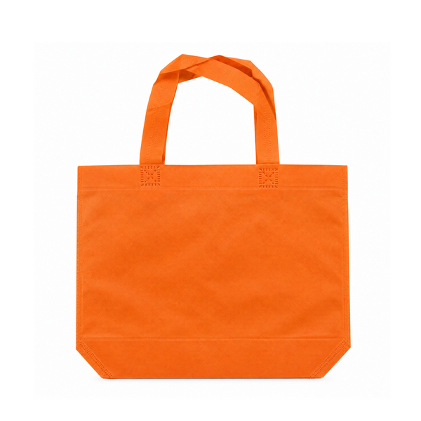 Bolsa Ecologica 25.5X33x9.5Cm-Rj-265