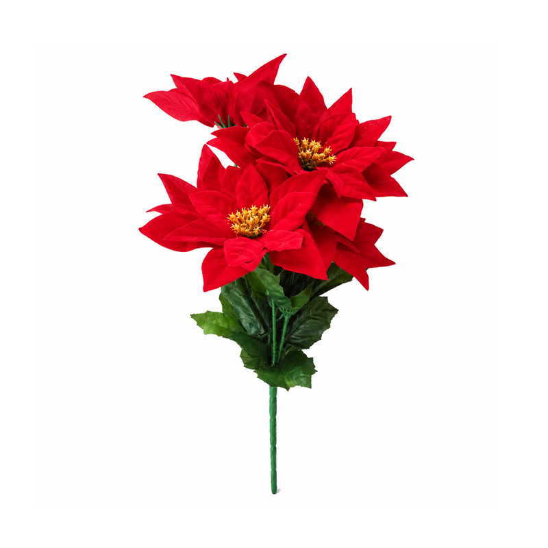 Flor Noche Buena-Xm-33161