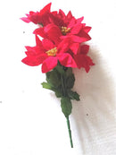 FLOR NOCHE BUENA-XM-33161