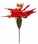 Flor Navideña-Xm-33455