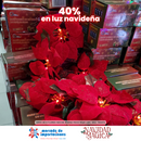 SERIE DE 8 FLORES NOCHE BUENA FOCO ROJO LED-TS6068