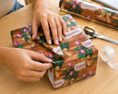 Pliego De Papel De Regalo