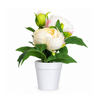 Arreglo Floral-23M2827