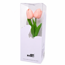 Set Difusor Aromatizante-23M2717