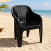 Silla De Plastico Negra Pm