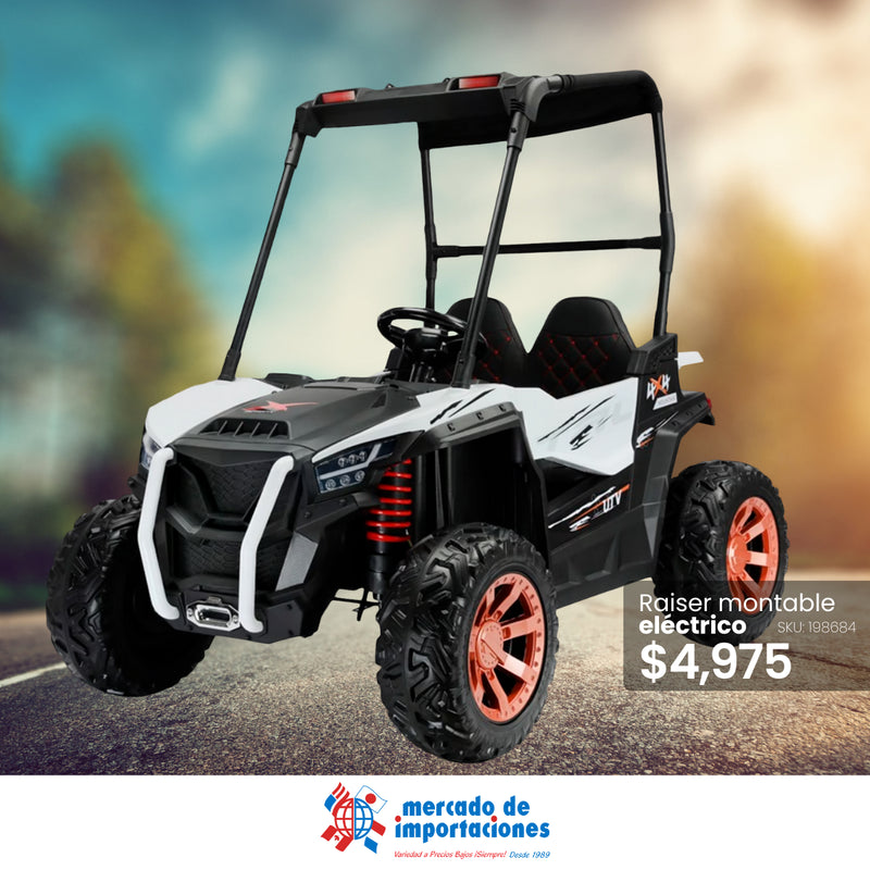 RAISER MONTABLE ELECTRICO-24M0254