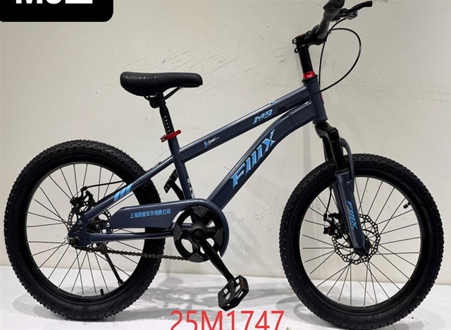 BICICLETA NIÑO RODADO 20"-25M1747-20