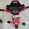 Triciclo-25M1762