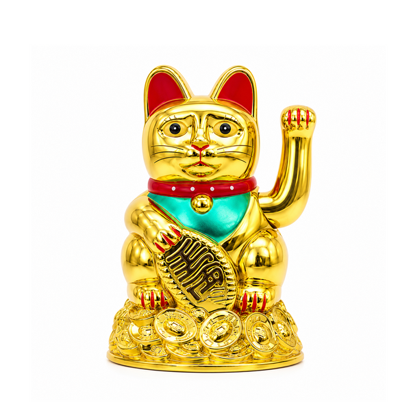 Gato Fortuna Chico