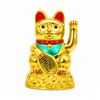 Gato Fortuna Mediano