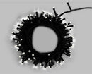 SERIE 100 LUCES FRIA-