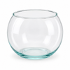Pecera de Cristal #5