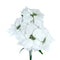 Flor Nochebuena Blanca XM-33964