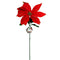 Flor Nochebuena Roja XM-31522