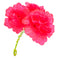Ramo Flor Artificial Varios Colores