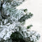 Pino navideño nevado 150 cms.