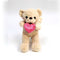 Peluche  de Oso Cake 22 cm.