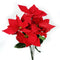 Flor Nochebuena Roja