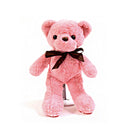 Oso de Peluche 20 cm.