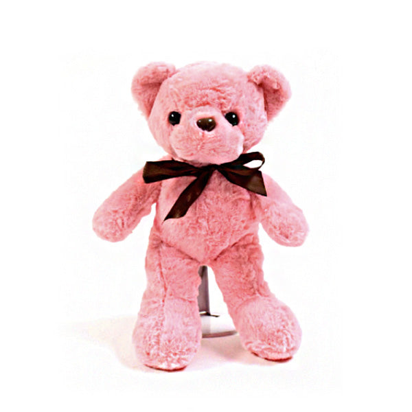Oso de Peluche 20 cm.