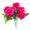 Rosal Rosas y Amarillas