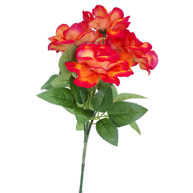 Rosal Rojo Aterciopelada
