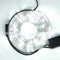 Manguera de Luz Blanco Calido Led 10 mts