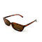 Lente de Sol para Dama SP58252