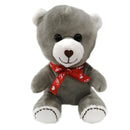 Oso de Peluche 20 cm
