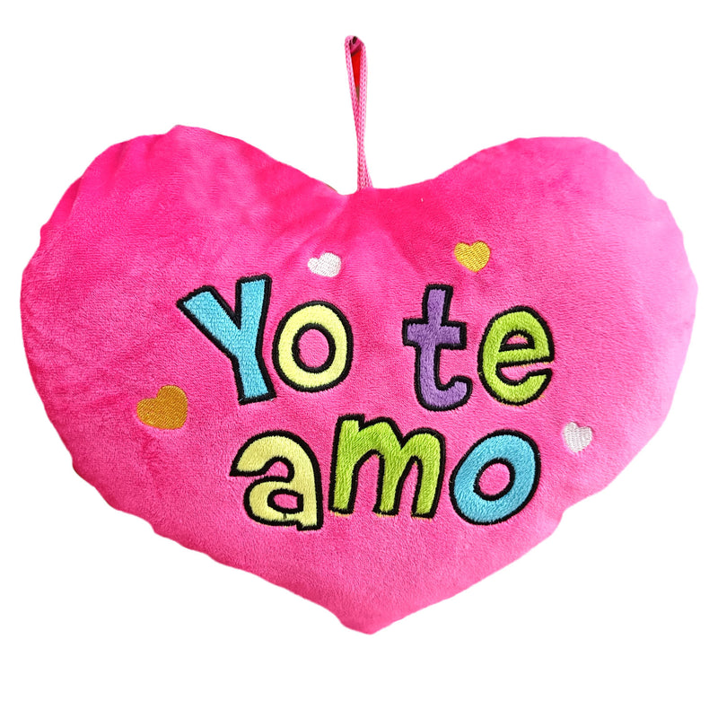 Cojín de San Valentín Varios  Modelos