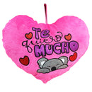 Cojín de San Valentín Varios  Modelos