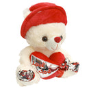 Oso de peluche 30 cms