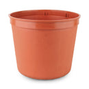 Maceta 15cms. corta
