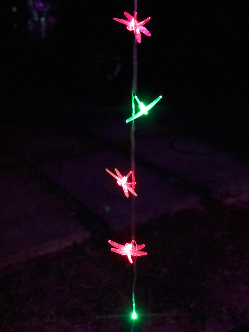 Serie luz Libélula 30